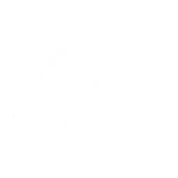 Metaloss